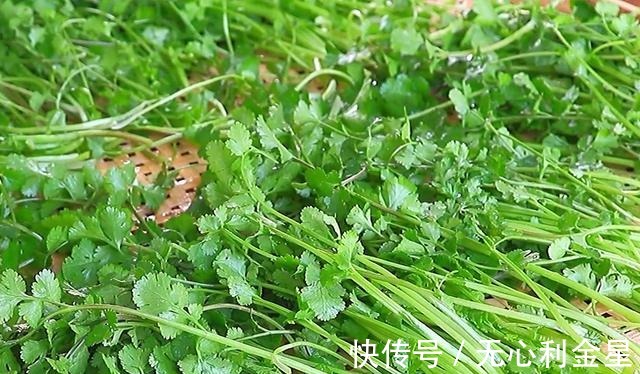 葱花、蒜末、姜末、香菜、韭菜,到底该如何保存!