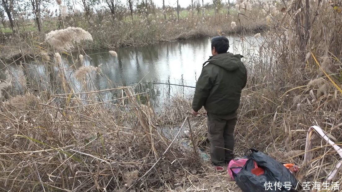 野钓:为何就是没有别人选的钓位好?鱼的这三个习性不可小觑!