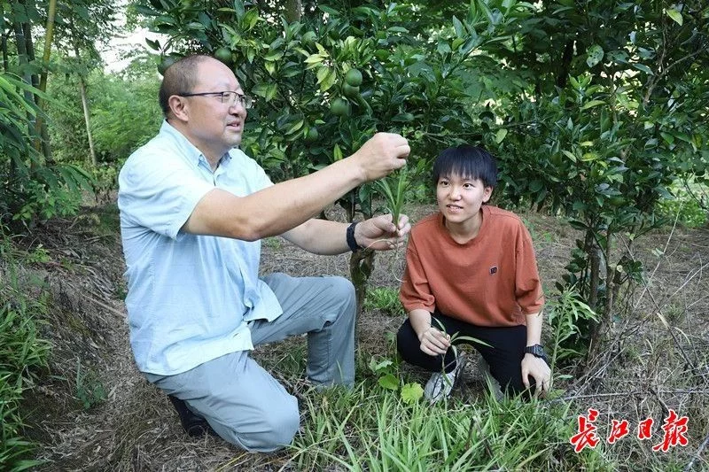 不要告诉别人（中医执业医师）中医执业医师考试实践技能操作视频 第6张