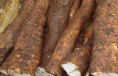 潤膚|越是天熱，女人這湯越是要多喝，美白祛濕，潤膚養(yǎng)顏