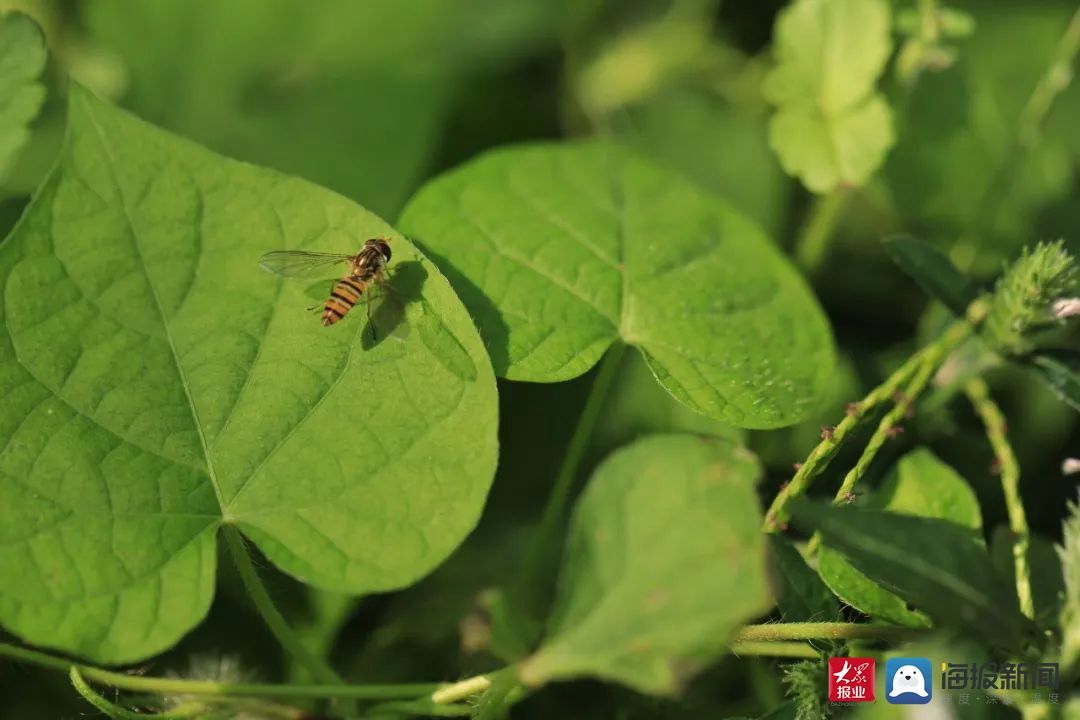 烟台理工学院|秋日特辑 ——一起领略烟台理工学院的金秋时光