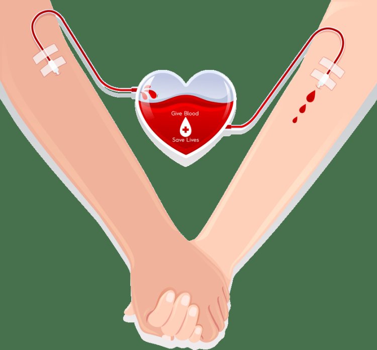 采血|献血真的对身体有好处吗？