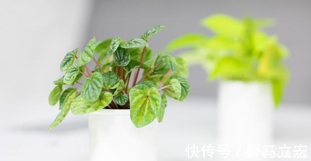 女儿|妈妈训女儿,邻桌的陌生男人却泪如雨下,这是怎么了