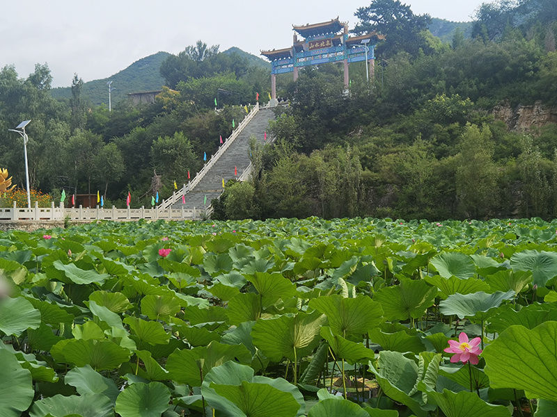 旅游|山西：最美乡村游打造乡村振兴“美丽路径”