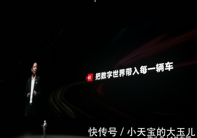苏箐|那个说“特斯拉杀人”的华为高管,被免职了