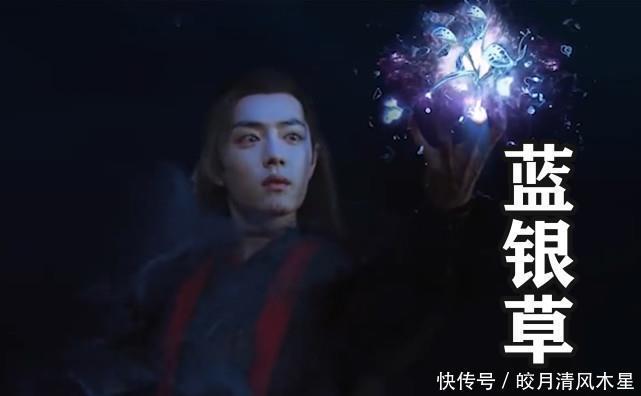 唐三|斗罗大陆真人版肖战召唤出蓝银草与昊天锤,魂环特效毫无违和感!