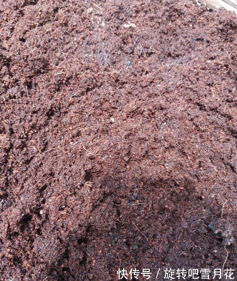 栽种|养花“小抠”教你省钱:用它们当基质土,钱包不用再“缩水”了