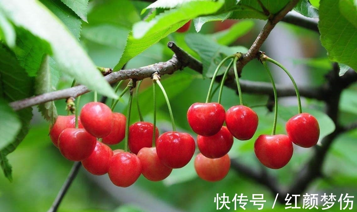 排行@10大思乡词曲排行,李煜的《虞美人》仅列第三,前两名分别是谁?