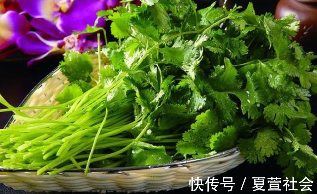 普通话|香菜学名叫什么?很多农村人的叫法才正确,为何在历史上被误传