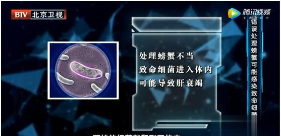 食物|吃螃蟹禁忌那么多,到底哪个是真的?不当心这些事,会吃出问题