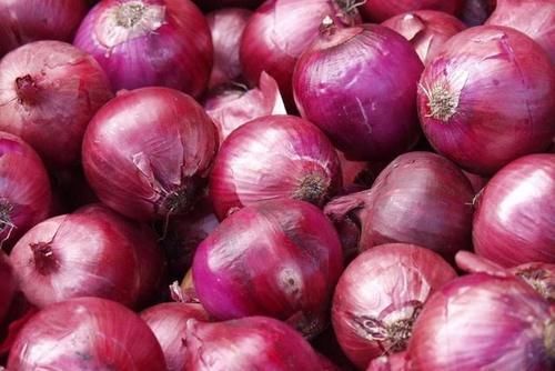  买洋葱时，选“紫色”还是“白色”好？很多人不知道，涨知识了