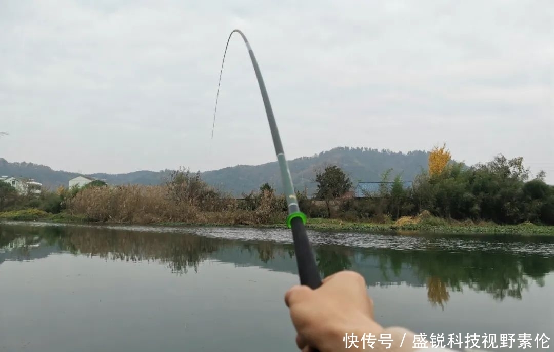 又细又软的鲫鱼竿为何会“失宠”?难道会被淘汰?绝不是这样!