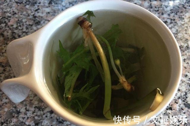 清热解毒|蒲公英被称为“天然抗生素”,营养师提醒2类人一口都不适合喝