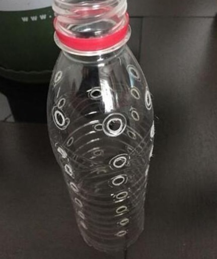 塑料瓶|隔壁大爷把“塑料瓶子”绑起来，绿萝盆栽，被他养成一棵绿萝树