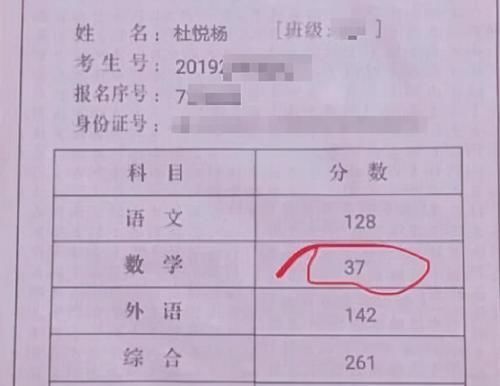 一本、二本、三本和专科有什么区别？高考成绩不高，该如何报考？