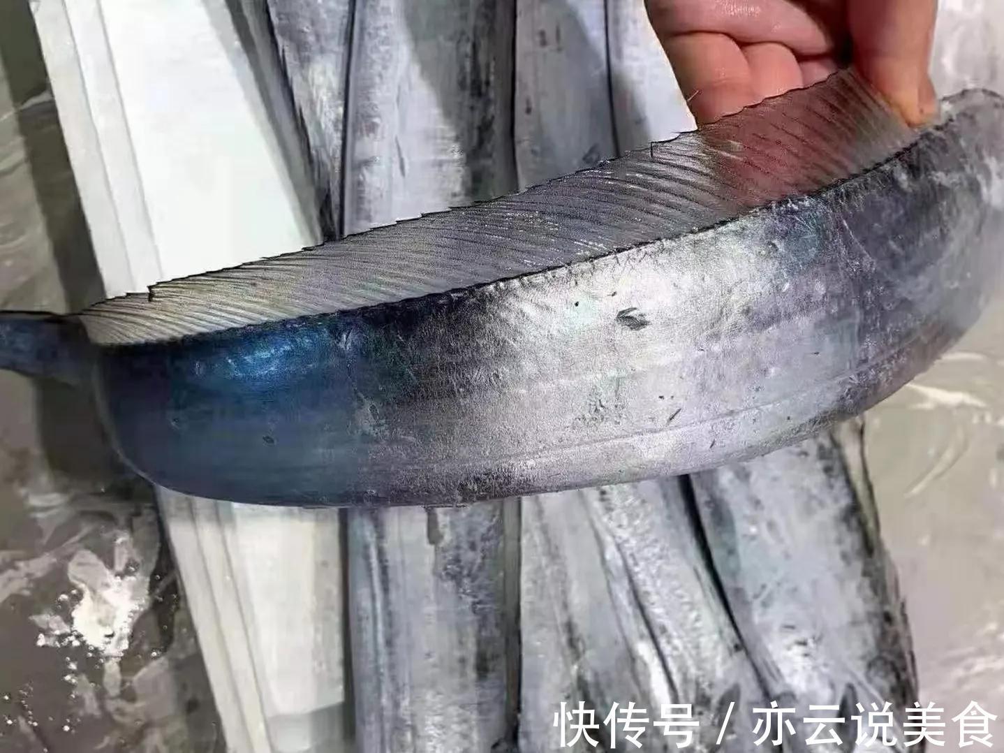 同样是带鱼，“钓带”和“网带”有何区别弄懂再买不吃亏