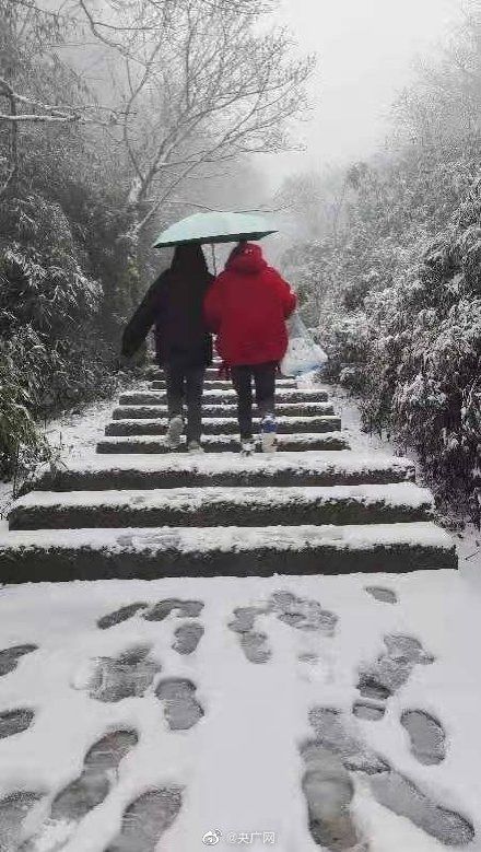 金佛山|重庆金佛山迎来12月首场大雪