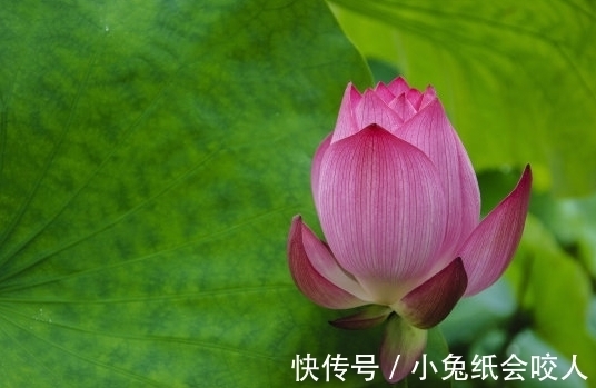 霉运|7月中旬，4属相躲过霉运，桃花不缺，机遇多多，生活顶呱呱