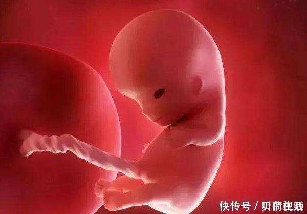 准妈妈|怀孕后,身上这些症状“偷偷”消失了其实胎儿一直都在保护妈妈