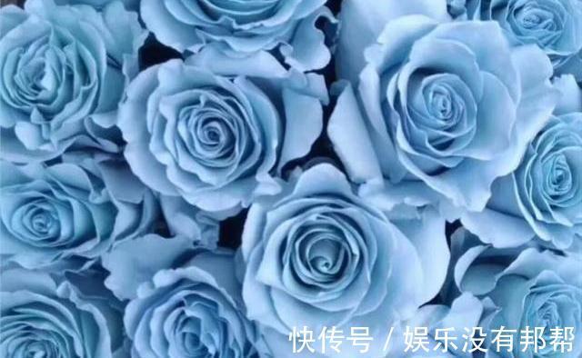 你粉|比较受欢迎的10款进口玫瑰花,一直都供不应求,你粉了吗?