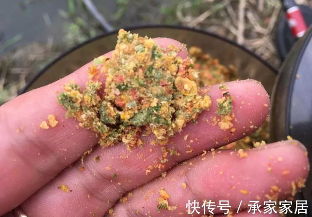 饵料|用“老三样”钓不到鲤鱼？只需要多加一种饵，效果完全不同