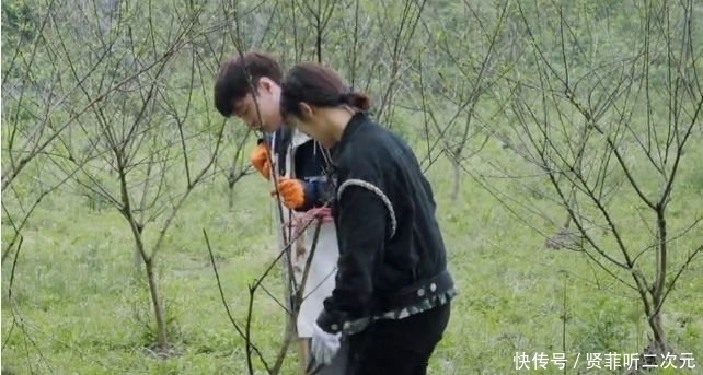 张子枫问杨紫: 去你餐厅吃饭, 免费行吗?