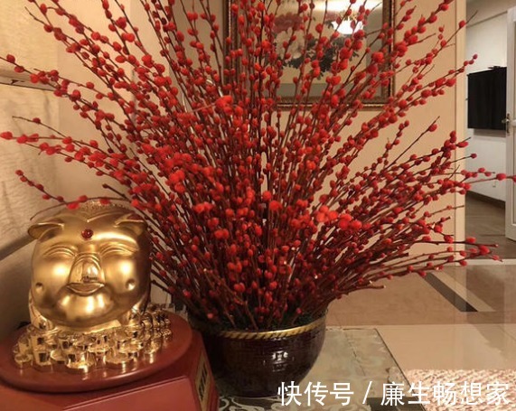 几种花很适合家里养,美艳又好养,寓意很吉祥,养一盆,芳香满屋