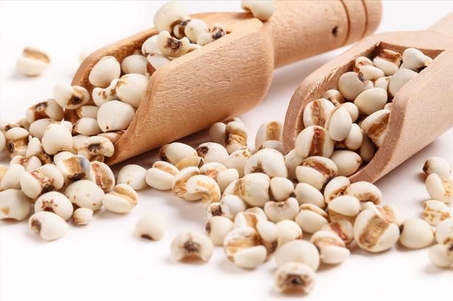 食物|体内湿气重，不妨吃这几类“食物”或有利于去除身体湿气