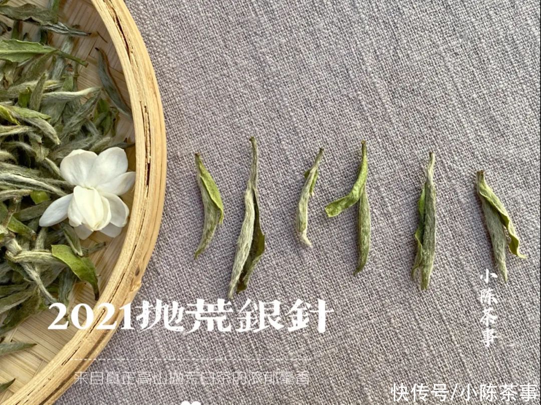 茶叶|白毫银针加桂花，是锦上添花，还是画蛇添足？老茶友都不这么做