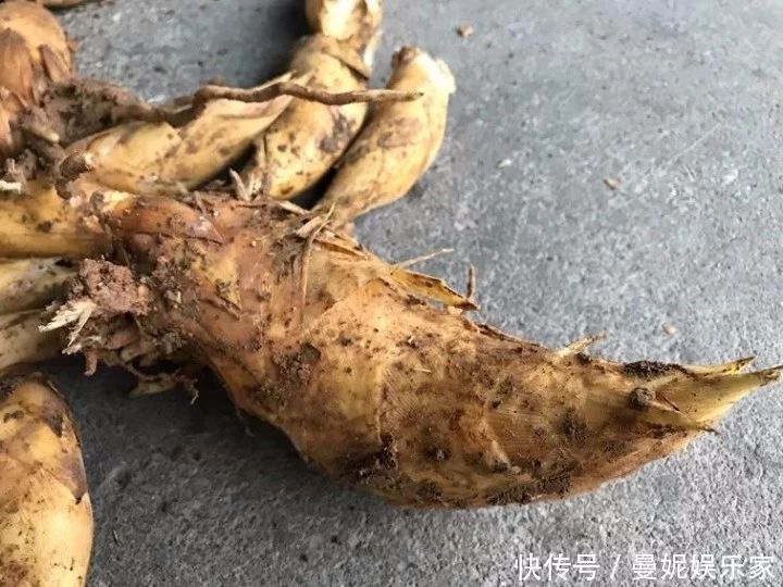 这种美食味道太鲜,一根就要好几十,过年经常吃