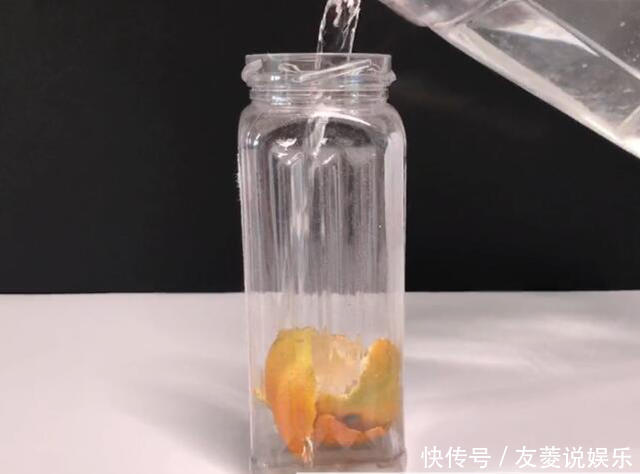 花盆里滋生小虫子怎么办花卉市场老板教我一招,虫子不再有!