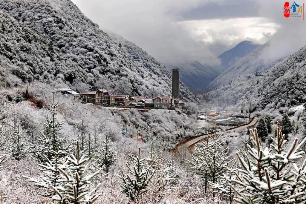 迎一场春雪 待春来花开