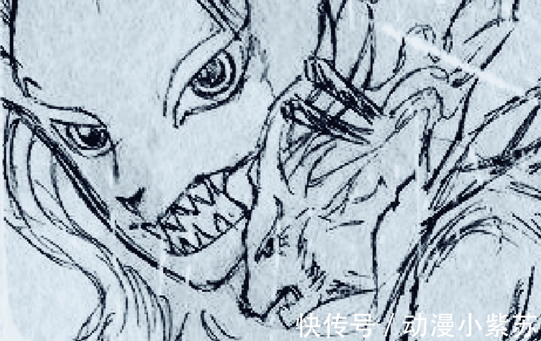 恶魔果实|海贼王1019话情报:大和开启人兽形态,外形像“猫科动物”