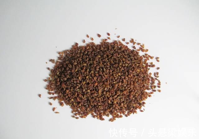 血糖|天然“胰岛素”找到了,4物坚持吃,糖尿病或能远离你