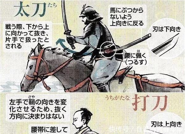 切腹|谁说日本武士用肋差切腹科普那些被歪曲的日本武士刀
