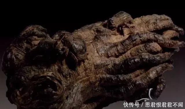 隋炀帝随手赏给日本一块木头,现在出1亿美金都没卖