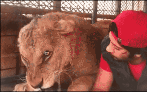 |搞笑段子：有哪些段子，能让人笑到肾抽筋？第101辑