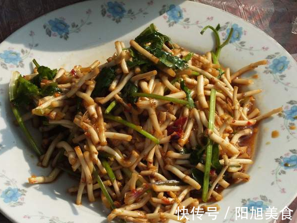 鱼腥草|宁可不吃肉也要吃这菜,钾含量高,简单拌一拌,脆嫩清香对身体好