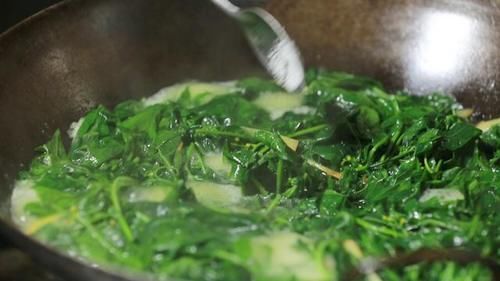 你那有人吃這種野菜嗎？學名龍葵草，土話叫白花菜，你那叫啥？