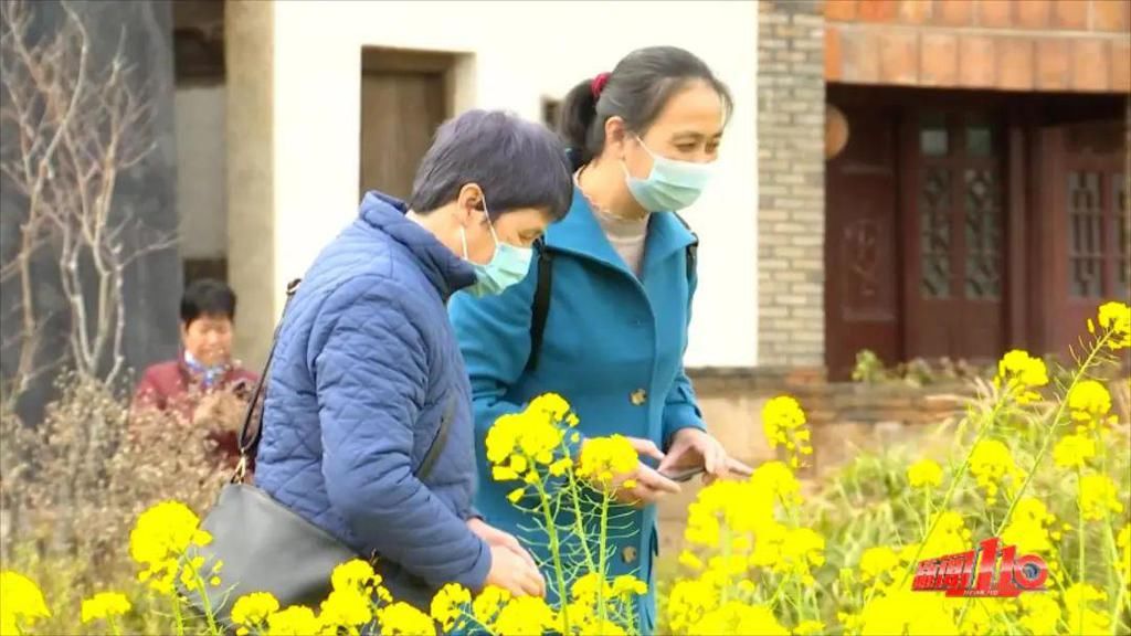 老年|假期余额不足，快去赏花！（附攻略）