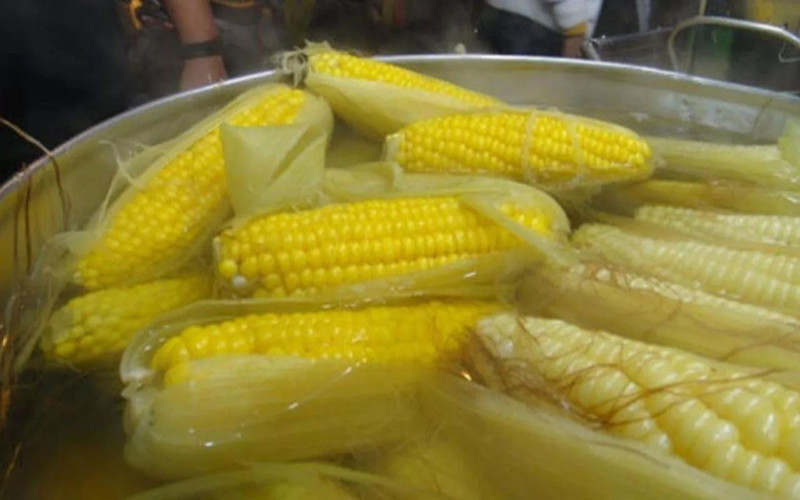 竟有这么多人将玉米煮错，煮玉米也是有技巧的，赶紧学起来