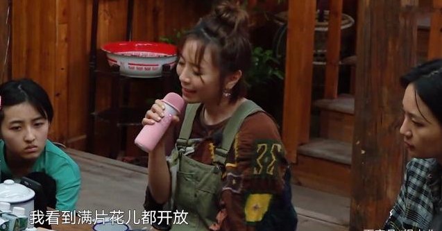 生日歌|黄雅莉做客《向往》被吐槽太做作，努力工作为何还成了错误？