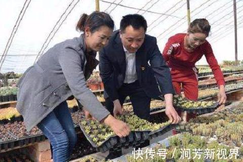 90后大学生放弃朝九晚五的工作,回乡创办多肉种植致富项目