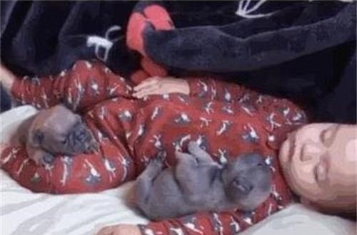 午睡|宝宝午睡竟没哭闹,宝妈放心不下偷偷观察,开门一看笑岔气