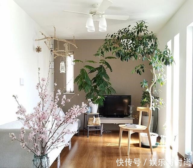 小两口之家,全屋布满绿植鲜花,把生活过成了诗,太美太治愈了!