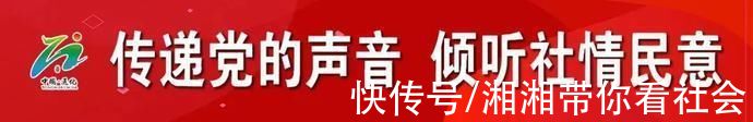 党代表会议|党代表会议与党代表大会的区别