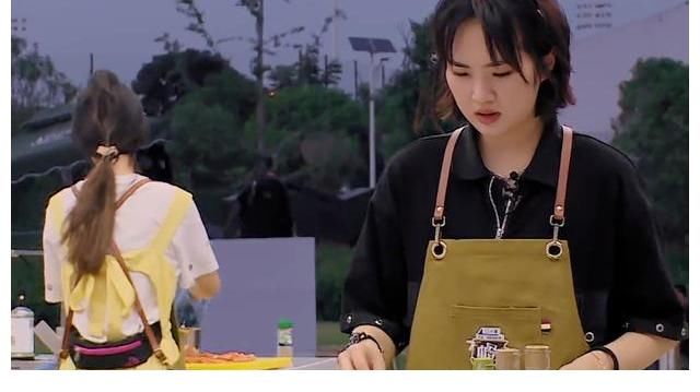 丁真|差评如潮，《中餐厅》如何从弘扬中国美食，沦为顶流矫情烧菜秀的