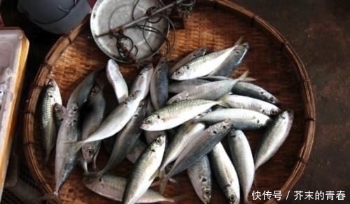 去菜市场买鱼时,看到这3种鱼可以多买点,没法养殖只有野生的