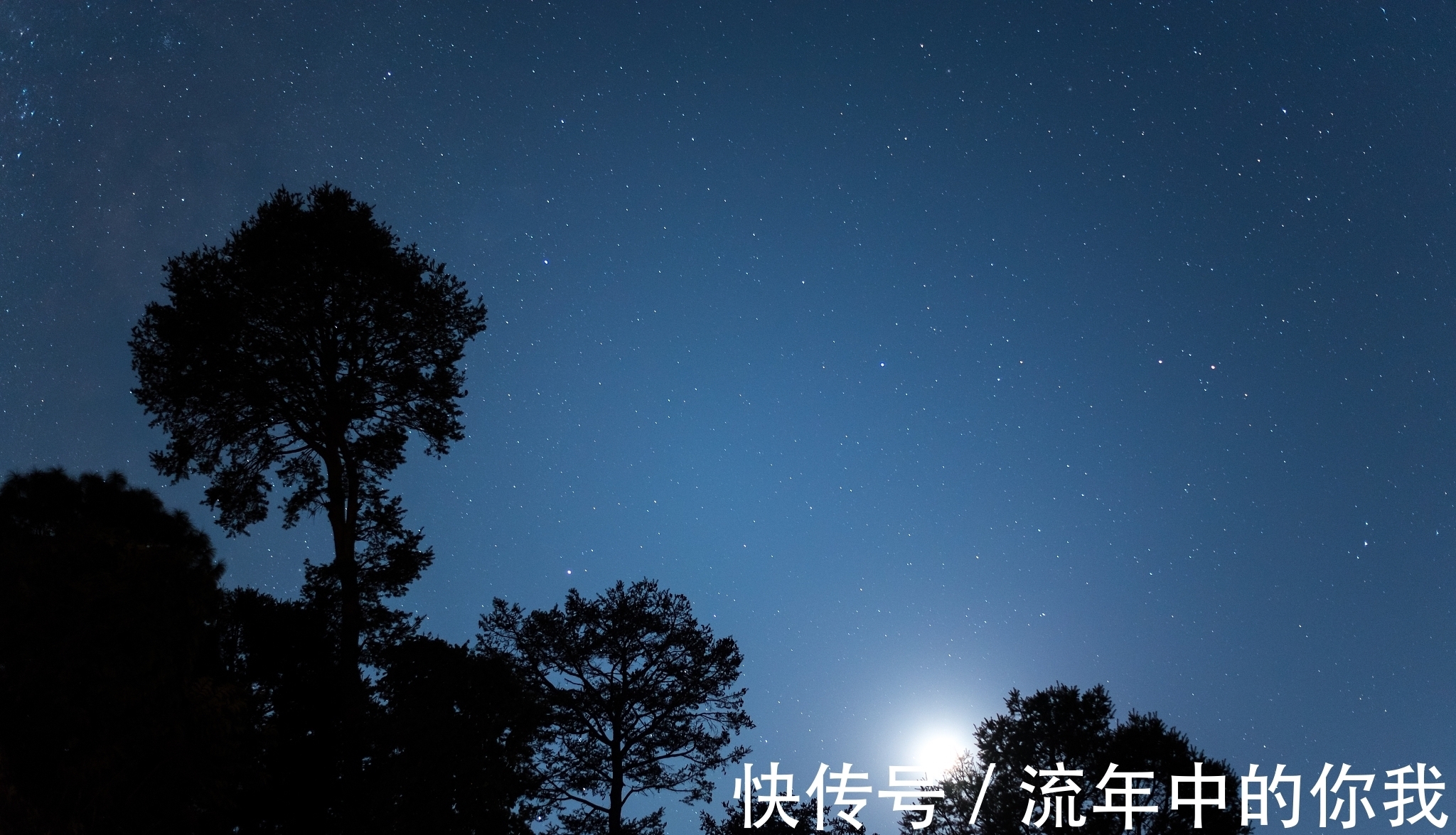 垂柳&宋诗精华五首,其中一首是苏轼描写杏花的,不知道您喜不喜欢