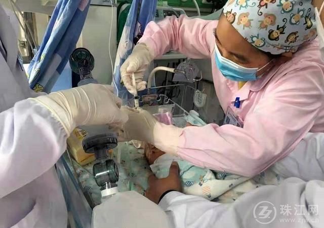 胸腔闭式引流|1%希望，100%努力！——记罗平县人民医院抢救危重气漏综合征新生儿